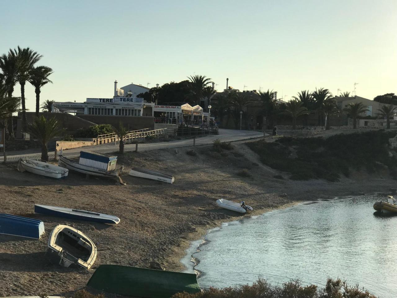 Homely Apartments Blasco Ibanez Τορεβιέχα Εξωτερικό φωτογραφία
